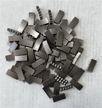 Segment de bit principal